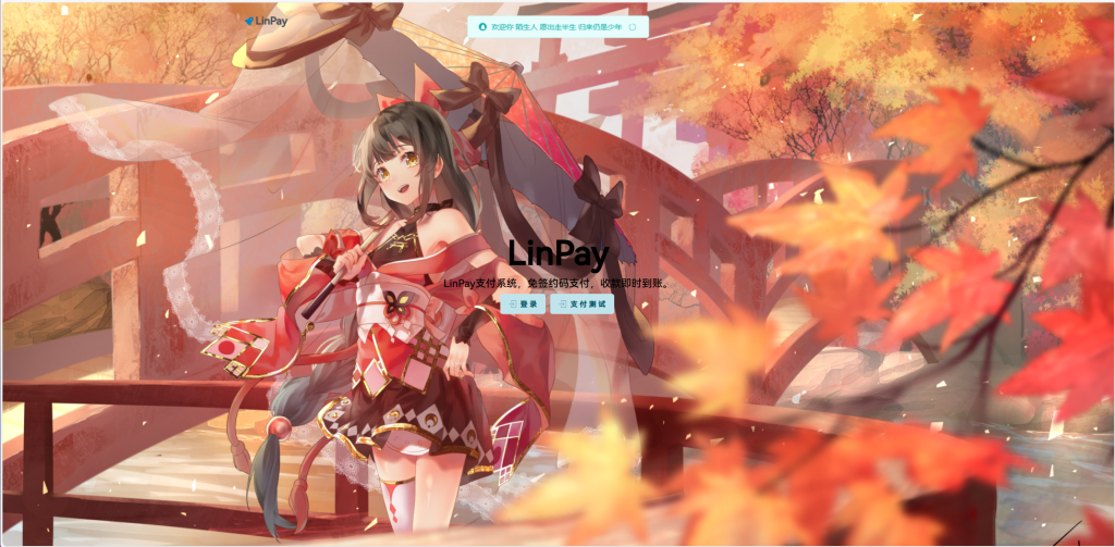 图片[1]-2024首发最新LinPay码支付免授权版，LinPay码支付官网，码支付，源支付-PAY资源网-免费资源下载中心