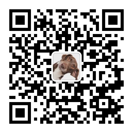 扫码添加微信-PAY资源网-免费资源下载中心
