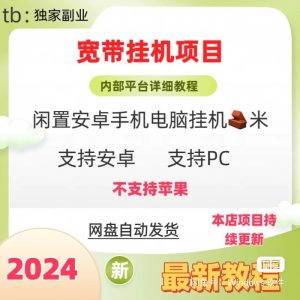 电脑手机挂机赚钱,有网就行!-PAY资源网-免费资源下载中心