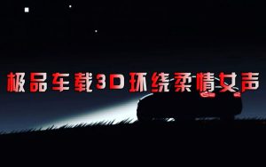 极致3D女声车载音乐合集-PAY资源网-免费资源下载中心