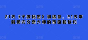 21天《子弹秘密》训练营,21天学到顶尖文案大师的策略和技巧-PAY资源网-免费资源下载中心