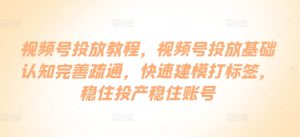 视频号投放教程,视频号投放基础认知完善疏通,快速建模打标签,稳住投产稳住账号-PAY资源网-免费资源下载中心