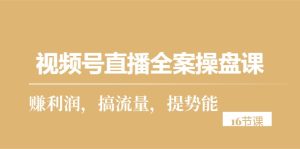 (10207期)视频号直播全案操盘课,赚利润,搞流量,提势能(16节课)-PAY资源网-免费资源下载中心