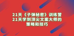 (10209期)21天《子弹秘密》训练营,21天学到顶尖文案大师的策略和技巧-PAY资源网-免费资源下载中心