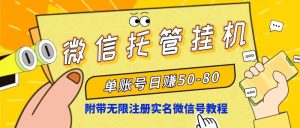 (10217期)微信托管挂机,单号日赚50-80,项目操作简单(附无限注册实名微信号教程)-PAY资源网-免费资源下载中心