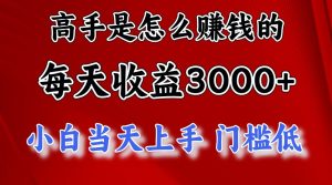 高手是怎么一天赚3000+的,小白当天上手,翻身项目,非常稳定。-PAY资源网-免费资源下载中心