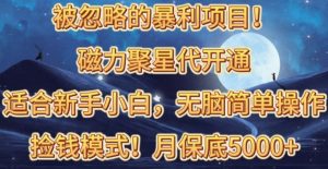 (10245期)被忽略的暴利项目!磁力聚星代开通捡钱模式,轻松月入五六千-PAY资源网-免费资源下载中心