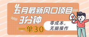 (10256期)五月最新风口项目,3分钟一单30,零成本,无脑操作-PAY资源网-免费资源下载中心
