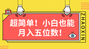 (10257期)超简单图文项目!小白也能月入五位数-PAY资源网-免费资源下载中心