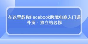 (10259期)在这里教你Facebook跨境电商入门课,外贸·独立站必修-PAY资源网-免费资源下载中心