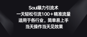 Soul暴力引流术,一天轻松引流100+精准流量,适用于各行业,简单易上手!-PAY资源网-免费资源下载中心