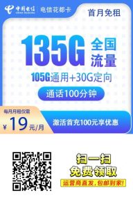 电信花都卡19元135G+100分钟通话-PAY资源网-免费资源下载中心