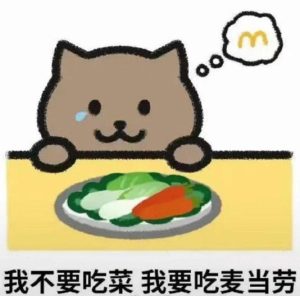 胖猫跳江去世,5个意想不到!-PAY资源网-免费资源下载中心