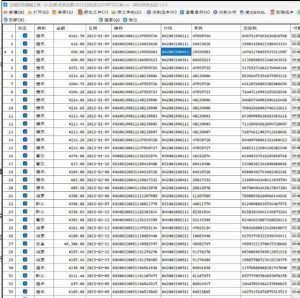InvCom发票PDF文件识别工具-PAY资源网-免费资源下载中心
