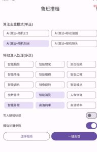 视频去重工具,是搬运视频神器,内置海量视频去重工具-PAY资源网-免费资源下载中心