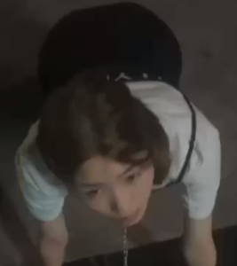 晚上遛狗 遛骚货!主人任务!-PAY资源网-免费资源下载中心