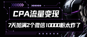 CPA流量变现,7天加满两个微信10000粉-PAY资源网-免费资源下载中心