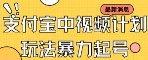 支付宝中视频玩法暴力起号影视起号有播放即可获得收益(带素材)-PAY资源网-免费资源下载中心