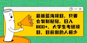 最新蓝海项目,只要会复制粘贴,日入800+,大学生考研项目,目前做的人极少-PAY资源网-免费资源下载中心