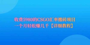 (9776期)CSGO装备搬砖,月综合收益率高达60%,你也可以!-PAY资源网-免费资源下载中心