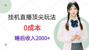 (9715期)挂机直播顶尖玩法,睡后日收入2000+、0成本,视频教学-PAY资源网-免费资源下载中心