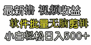 (9569期)发视频撸收益,软件无脑批量剪辑,第一天发第二天就有钱-PAY资源网-免费资源下载中心