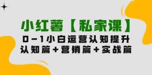 (9910期)小红薯【私家课】0-1玩赚小红书内容营销,认知篇+营销篇+实战篇(11节课)-PAY资源网-免费资源下载中心
