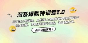 淘系爆款特训营2.0【第六期】从选品上架到付费放大 全店运营 打爆款 做好店-PAY资源网-免费资源下载中心