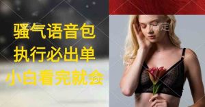 (9589期)执行就出单,日入2000+,超火骚气语音包,小白看完课程就能马上实操-PAY资源网-免费资源下载中心