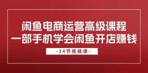 (10686期)闲鱼电商运营高级课程,一部手机学会闲鱼开店赚钱(34节课)-PAY资源网-免费资源下载中心