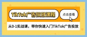TikTok广告投放课程,从0-1实战课,带你快速入门TikTok广告投放(30节课)-PAY资源网-免费资源下载中心