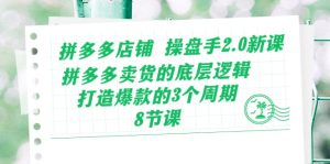 拼多多店铺操盘手2.0新课,拼多多卖货的底层逻辑,打造爆款的3个周期(8节)-PAY资源网-免费资源下载中心