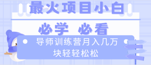 导师训练营互联网最牛逼的项目没有之一,新手小白必学,月入2万+轻轻松松-PAY资源网-免费资源下载中心