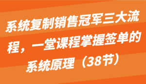 系统复制销售冠军三大流程,一堂课程掌握签单的系统原理(38节)-PAY资源网-免费资源下载中心
