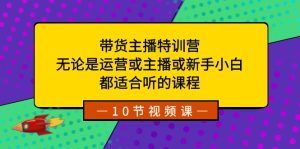 带货主播特训营:无论是运营或主播或新手小白,都适合听的课程-PAY资源网-免费资源下载中心