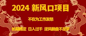 2024新风口项目,不在为工作发愁,长期稳定,日入过千 逆风翻盘不是梦-PAY资源网-免费资源下载中心