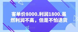 客单价8000.利润1800.虽然利润不高,但是不怕退货【付费文章】-PAY资源网-免费资源下载中心
