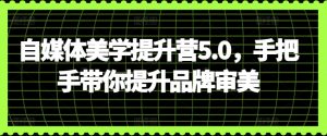自媒体美学提升营5.0,手把手带你提升品牌审美-PAY资源网-免费资源下载中心