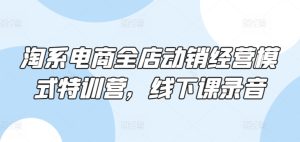 淘系电商全店动销经营模式特训营,线下课录音-PAY资源网-免费资源下载中心