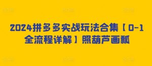 2024拼多多实战玩法合集【0-1全流程详解】照葫芦画瓢-PAY资源网-免费资源下载中心