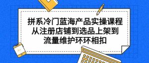 (9527期)拼系冷门蓝海产品实操课程,从注册店铺到选品上架到流量维护环环相扣-PAY资源网-免费资源下载中心
