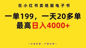 (9401期)在小红书卖绝版电子书,一单199 一天最多搞20多单,最高日入4000+教程+资料-PAY资源网-免费资源下载中心