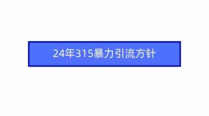 (9398期)2024年315暴力引流方针-PAY资源网-免费资源下载中心