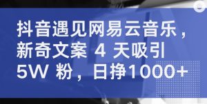 抖音遇见网易云音乐,新奇文案 4 天吸引 5W 粉,日挣1000+-PAY资源网-免费资源下载中心