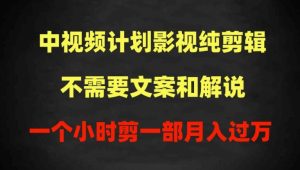 中视频计划影视纯剪辑,不需要文案和解说,一个小时剪一部,100%过原创月入过万-PAY资源网-免费资源下载中心