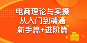 (9576期)电商理论与实操从入门到精通 新手篇+进阶篇-PAY资源网-免费资源下载中心