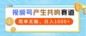 (9133期)2024年视频号,产生共鸣赛道,简单无脑,一分钟一条视频,日入1000+-PAY资源网-免费资源下载中心