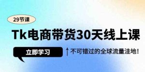 (9463期)Tk电商带货30天线上课,不可错过的全球流量洼地(29节课)-PAY资源网-免费资源下载中心
