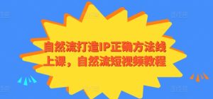 自然流打造IP正确方法线上课,自然流短视频教程-PAY资源网-免费资源下载中心
