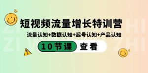 短视频流量增长特训营:流量认知+数据认知+起号认知+产品认知(10节课)-PAY资源网-免费资源下载中心